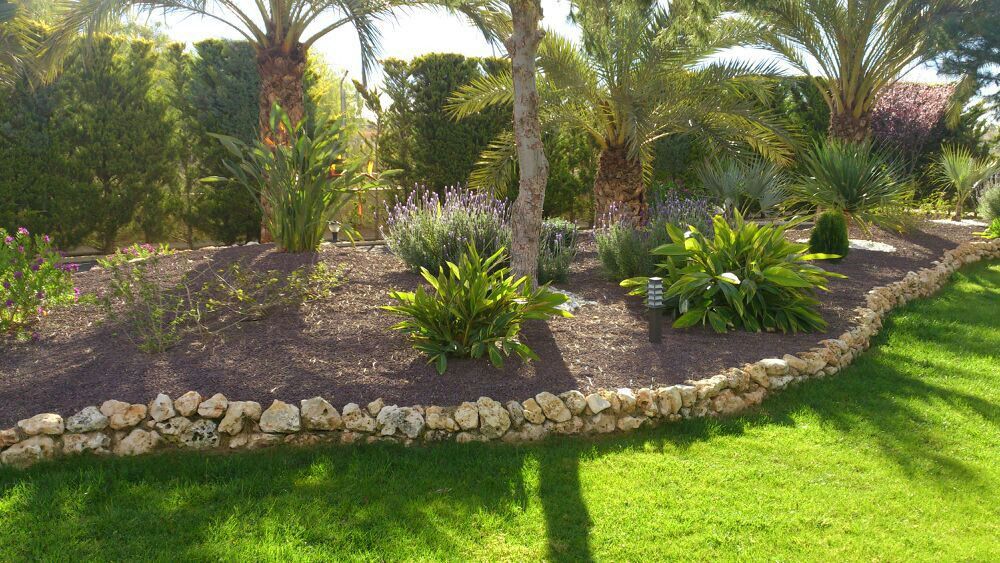 Jardinería y paisajismo: Servicios de Jardinería Pozo Jardinería y paisajismo: Servicios de Jardinería Pozo