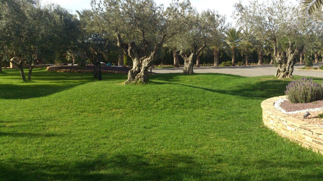Mantenimiento de jardines: Servicios de Jardinería Pozo Mantenimiento de jardines: Servicios de Jardinería Pozo
