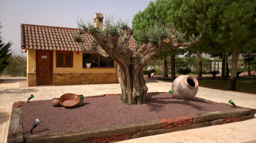 Jardinería y paisajismo: Servicios de Jardinería Pozo Jardinería y paisajismo: Servicios de Jardinería Pozo