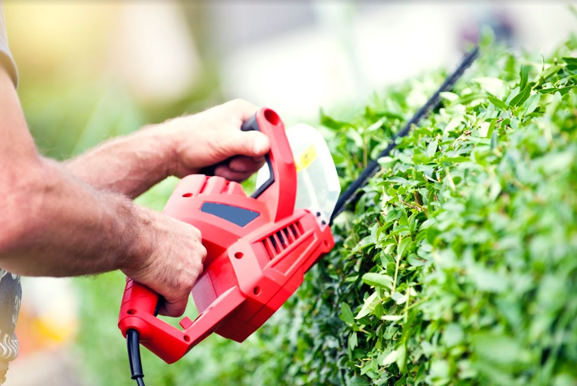 Poda: Servicios de Jardinería Pozo Poda: Servicios de Jardinería Pozo