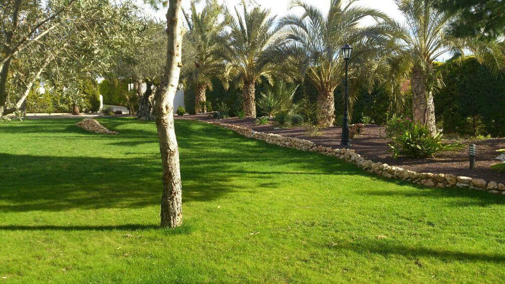 Césped artificial: Servicios de Jardinería Pozo Césped artificial: Servicios de Jardinería Pozo