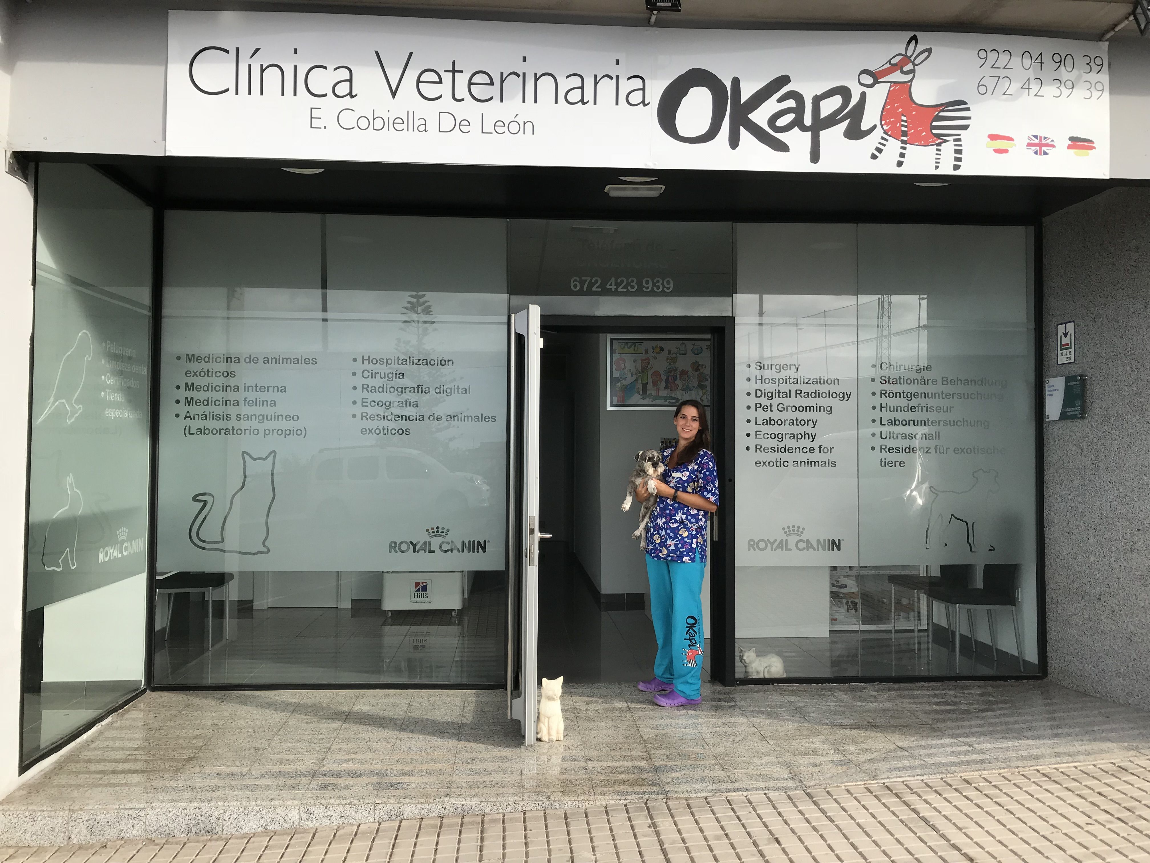 Clínica veterinaria, urgencias Tenerife Sur