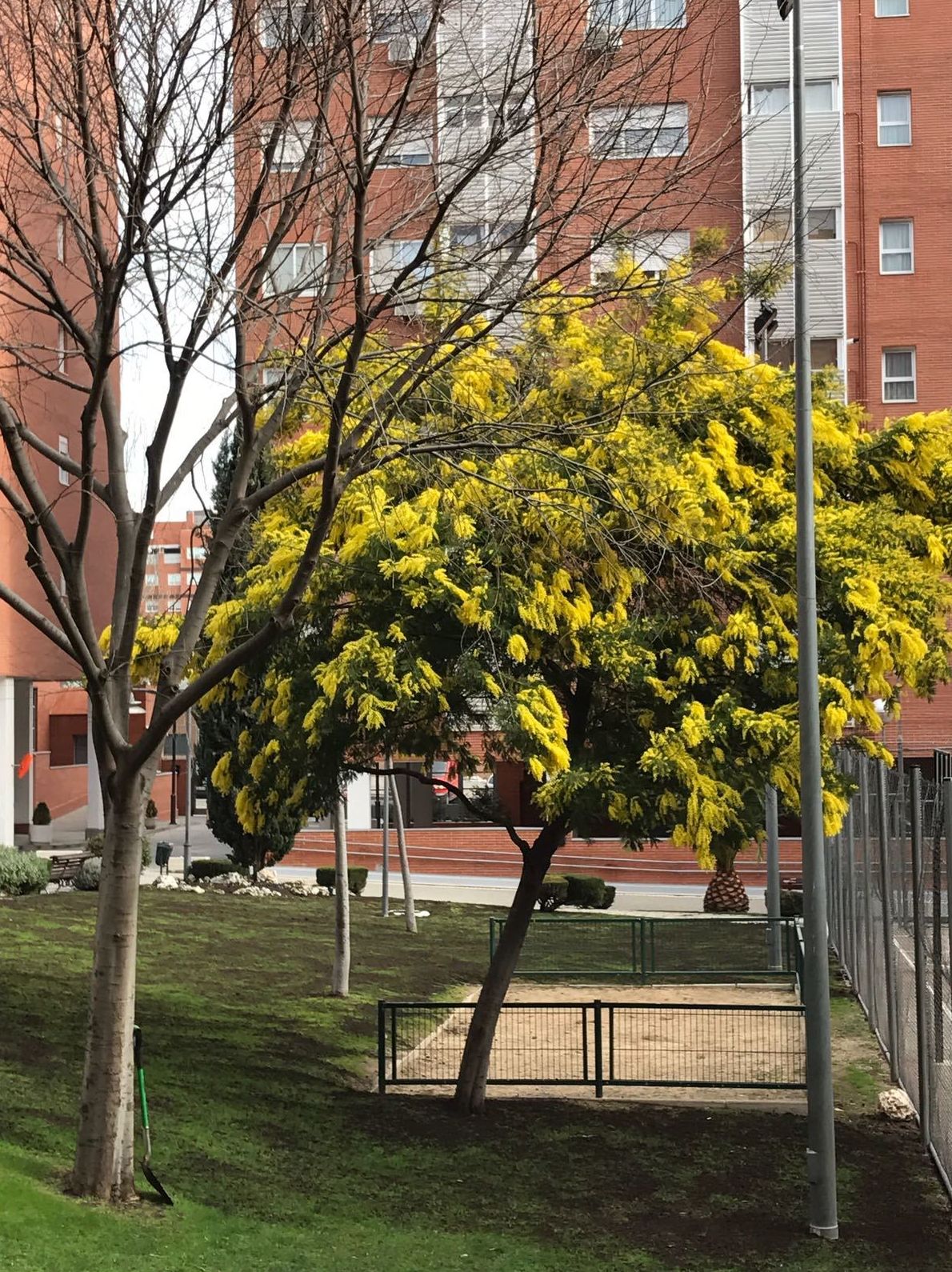 Mantenimiento de parques y jardines