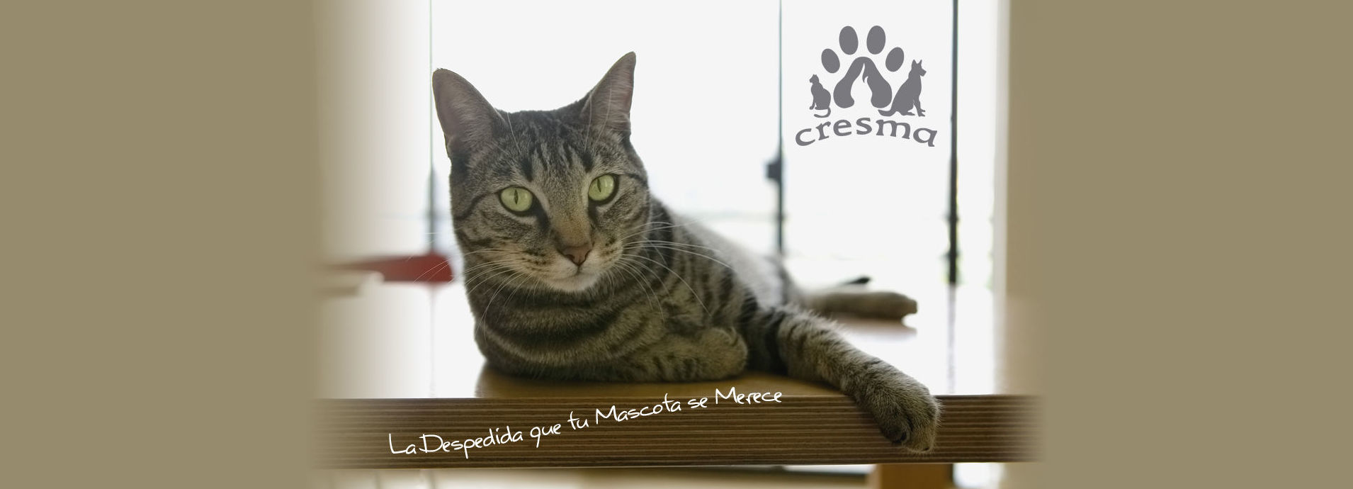 Recogida a domicilio o en la clínica veterinaria: Productos e instalaciones de Cresma Recogida a domicilio o en la clínica veterinaria: Productos e instalaciones de Cresma