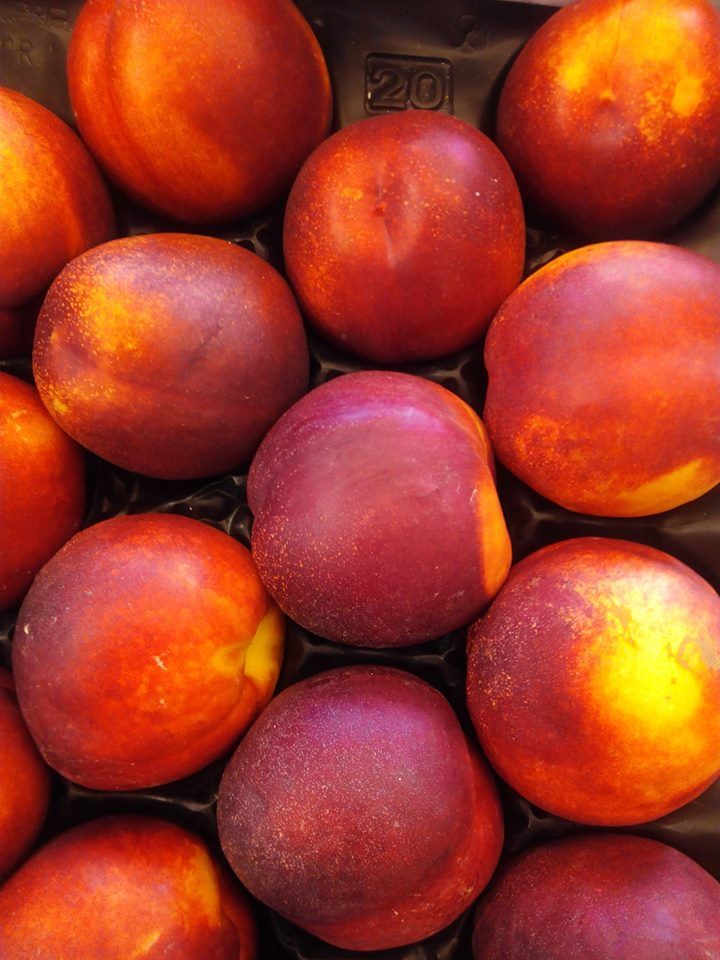 Fruta y Verdura: Nuestros Productos de SELECTUM Gastroplaceres Fruta y Verdura: Nuestros Productos de SELECTUM Gastroplaceres