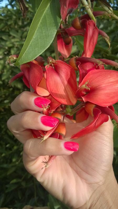 Manicura y pedicura: Salón de belleza de Colêt Style Assessors Manicura y pedicura: Salón de belleza de Colêt Style Assessors