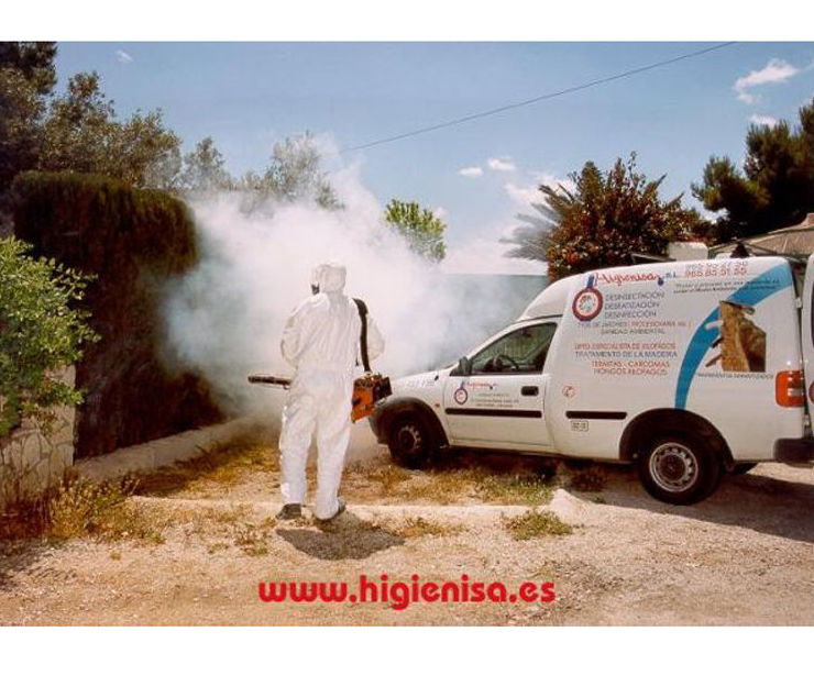 Empresa de fumigaciones en Alicante