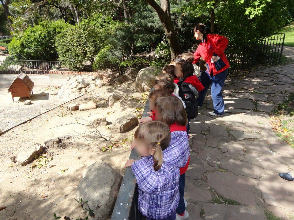 Actividades de granja-escuela: Actividades y Servicios de Mi Primer Cole Actividades de granja-escuela: Actividades y Servicios de Mi Primer Cole