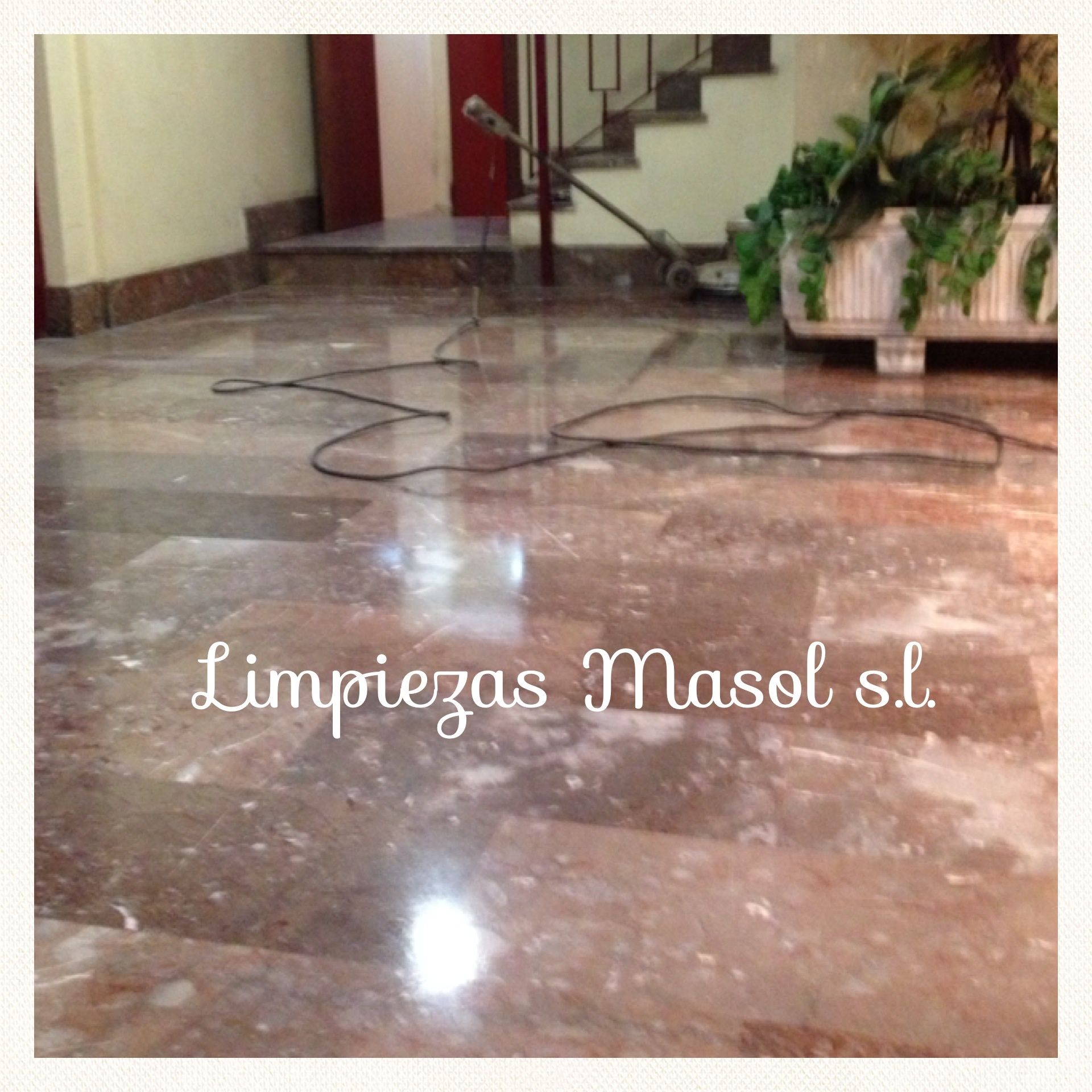 5. Abrillantado de suelos: Servicios de Limpiezas Masol, S.L. 5. Abrillantado de suelos: Servicios de Limpiezas Masol, S.L.