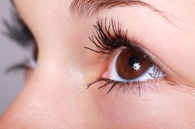 Lentillas: Productos y servicios de Óptica Jorge Lentillas: Productos y servicios de Óptica Jorge