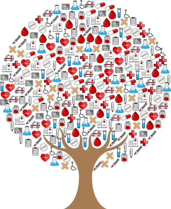 Homeopatía: Servicios de Farmacia Vía Roma Homeopatía: Servicios de Farmacia Vía Roma