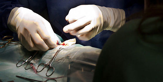 Cirugía reconstructora de lesiones nerviosas