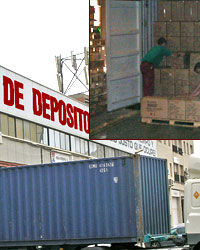 Manipulado de contenedores: Servicios de Apoli-Stock