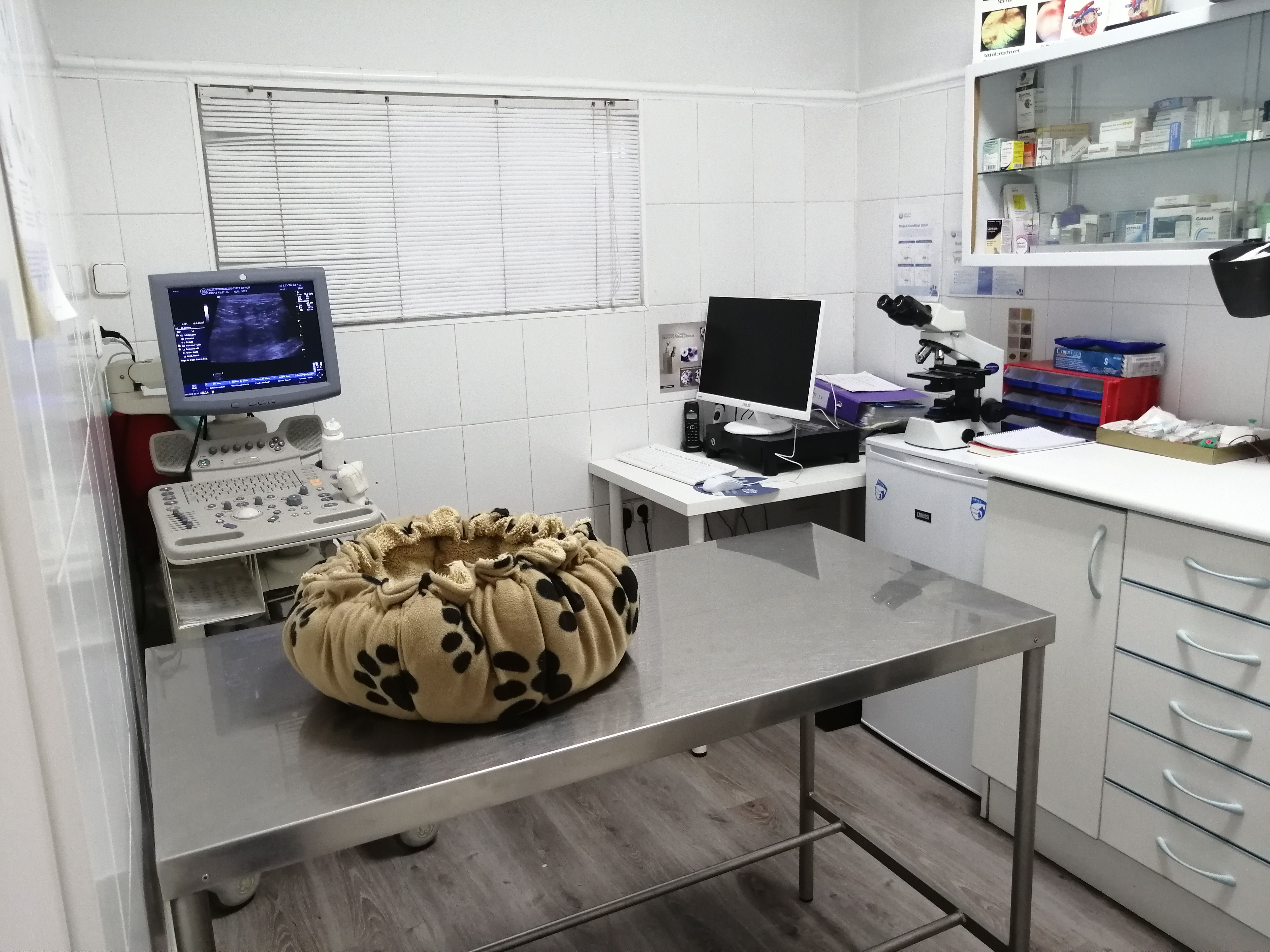Diagnóstico por imagen: Servicios veterinarios de Clínica Veterinaria Leganés Norte Diagnóstico por imagen: Servicios veterinarios de Clínica Veterinaria Leganés Norte