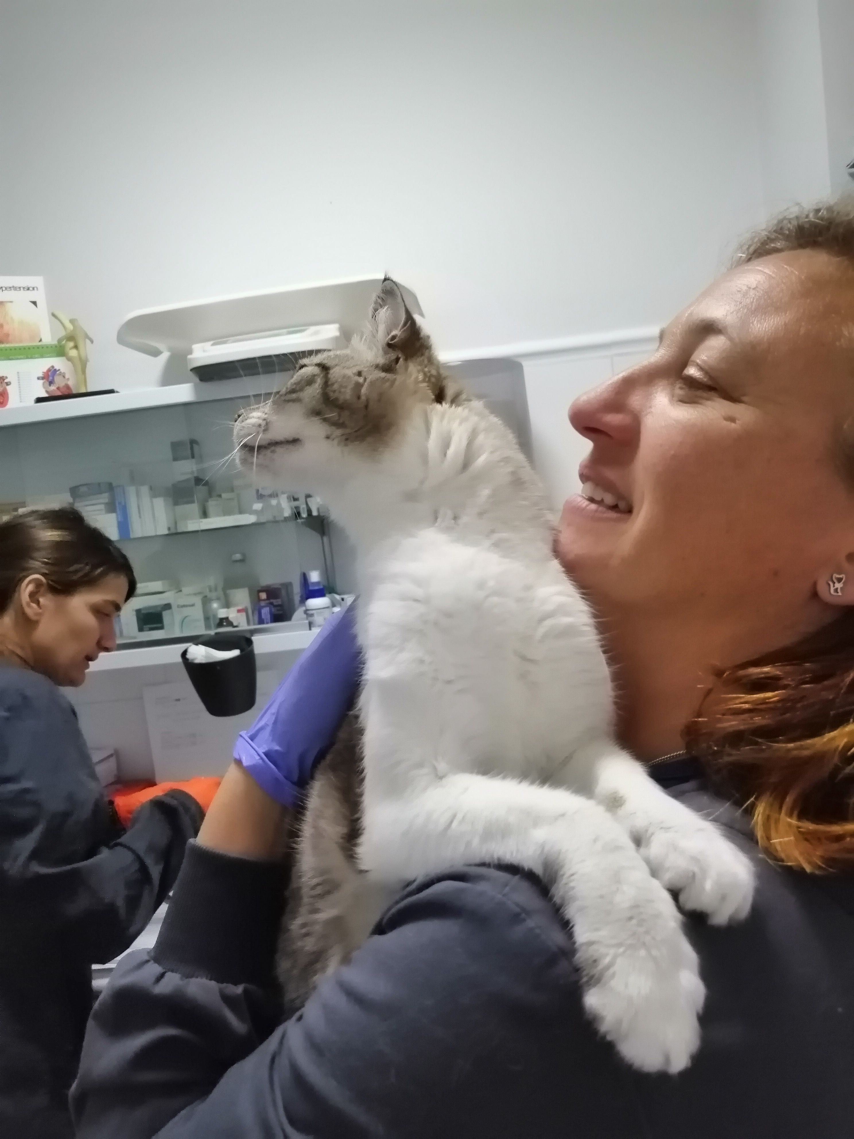 Atención Especial: Servicios veterinarios de Clínica Veterinaria Leganés Norte Atención Especial: Servicios veterinarios de Clínica Veterinaria Leganés Norte