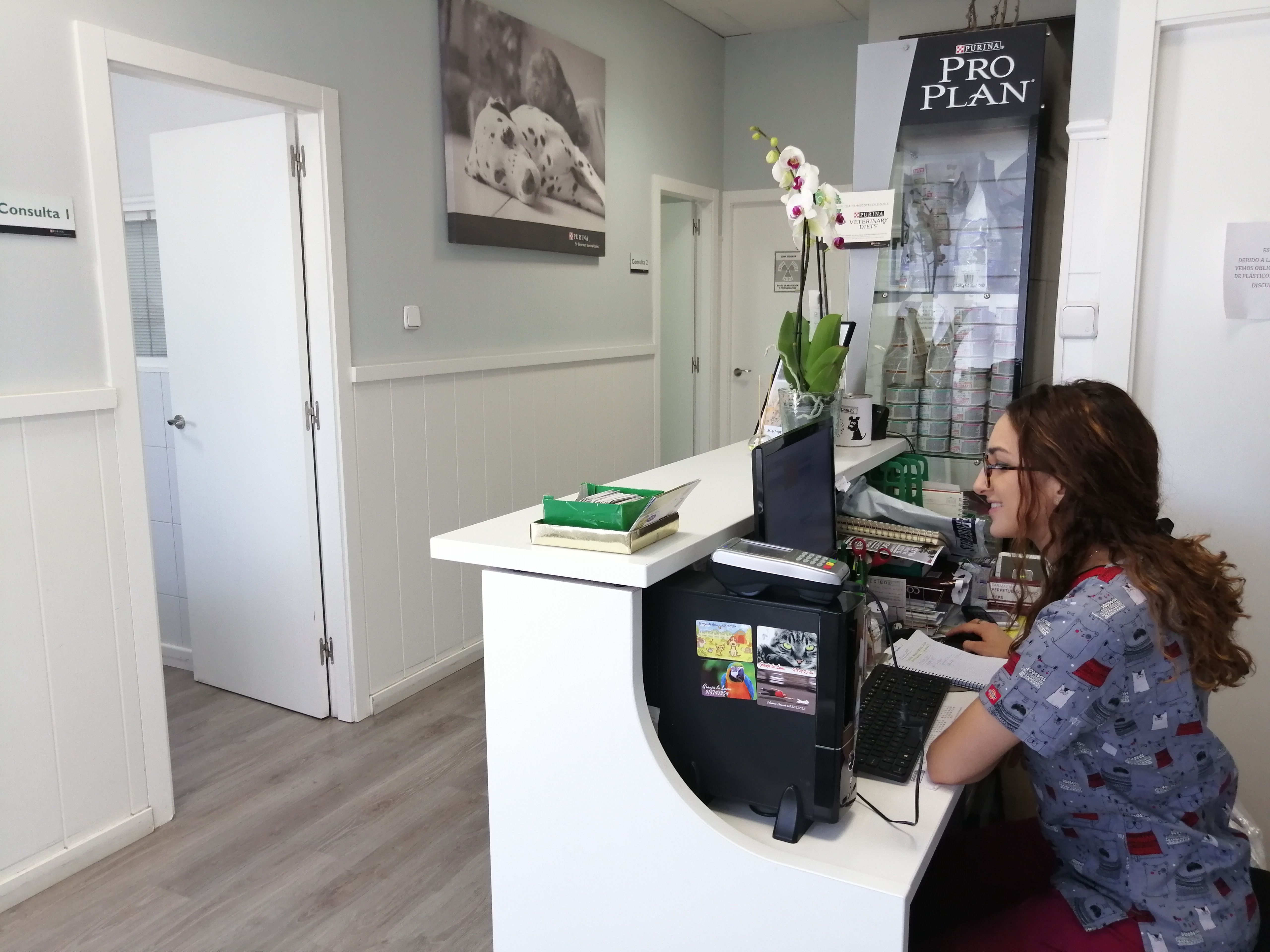 Otros servicios: Servicios veterinarios de Clínica Veterinaria Leganés Norte Otros servicios: Servicios veterinarios de Clínica Veterinaria Leganés Norte