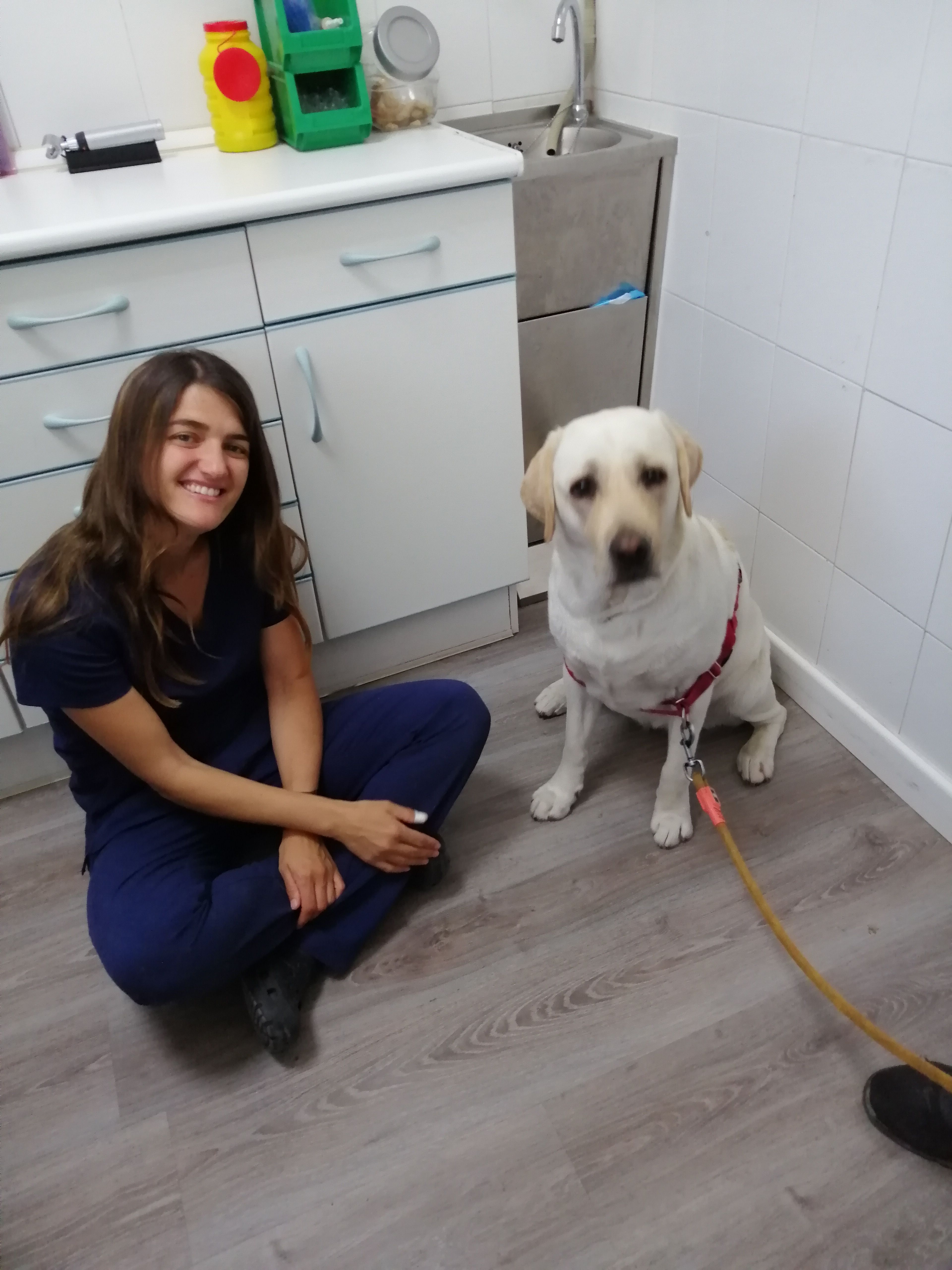 Otros servicios: Servicios veterinarios de Clínica Veterinaria Leganés Norte Otros servicios: Servicios veterinarios de Clínica Veterinaria Leganés Norte