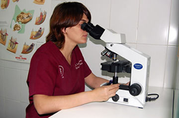 Diagnóstico Laboratorial: Servicios veterinarios de Clínica Veterinaria Leganés Norte Diagnóstico Laboratorial: Servicios veterinarios de Clínica Veterinaria Leganés Norte