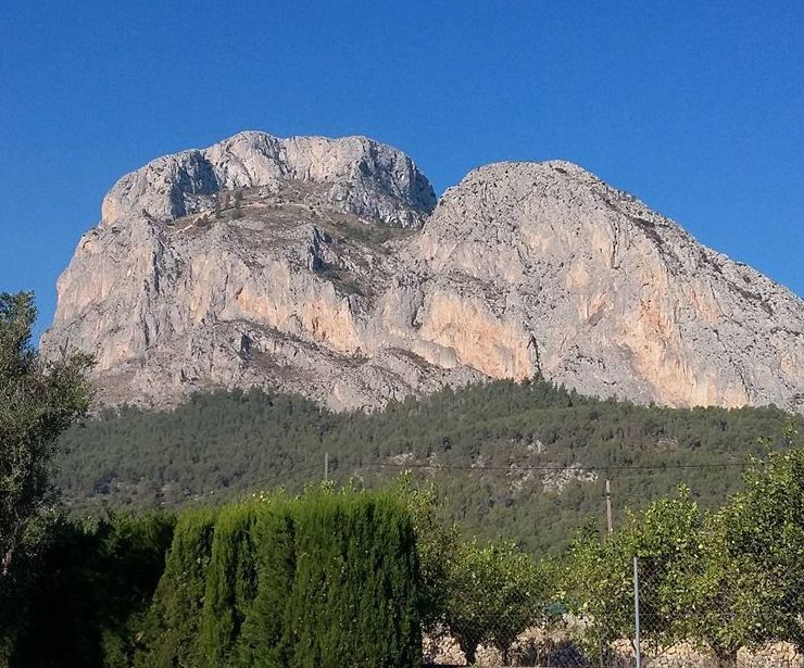 Terapias a Distancia : Coaching y terapias de QoriSalud, Bienestar Integral en Polop de la Marina Terapias a Distancia : Coaching y terapias de QoriSalud, Bienestar Integral en Polop de la Marina