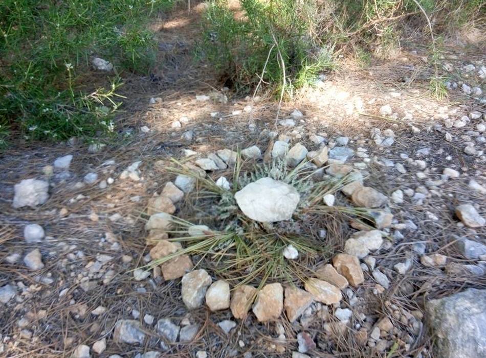 Mandala individual realizado en conexion con la naturaleza y nuestro interior Mandala individual realizado en conexion con la naturaleza y nuestro interior
