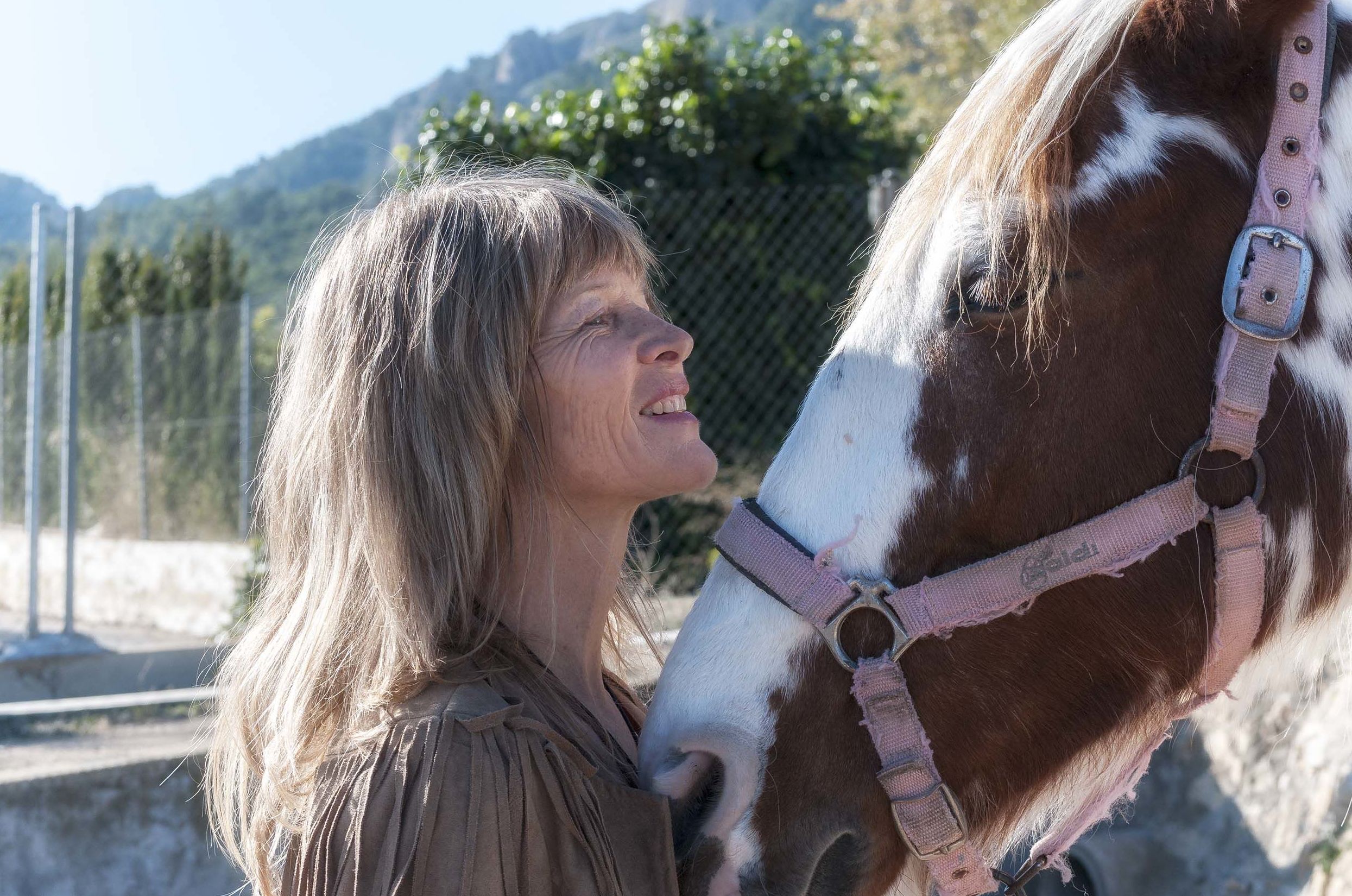 Coaching con Caballos: Coaching y terapias de QoriSalud, Bienestar Integral en Polop de la Marina Coaching con Caballos: Coaching y terapias de QoriSalud, Bienestar Integral en Polop de la Marina