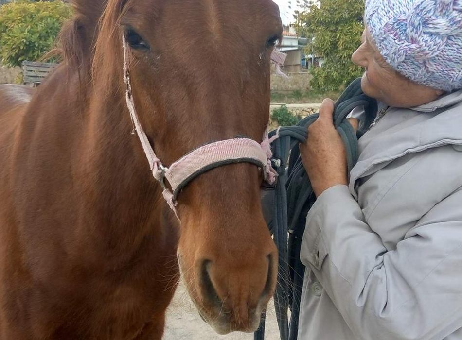 Coaching con Caballos: Coaching y terapias de QoriSalud, Bienestar Integral en Polop de la Marina Coaching con Caballos: Coaching y terapias de QoriSalud, Bienestar Integral en Polop de la Marina