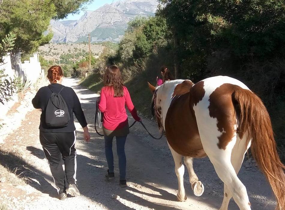 Paseo meditativo con caballo Paseo meditativo con caballo