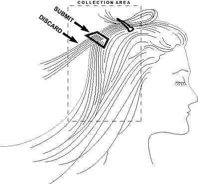Análisis mineral de cabello: Coaching y terapias de QoriSalud, Bienestar Integral en Polop de la Marina Análisis mineral de cabello: Coaching y terapias de QoriSalud, Bienestar Integral en Polop de la Marina