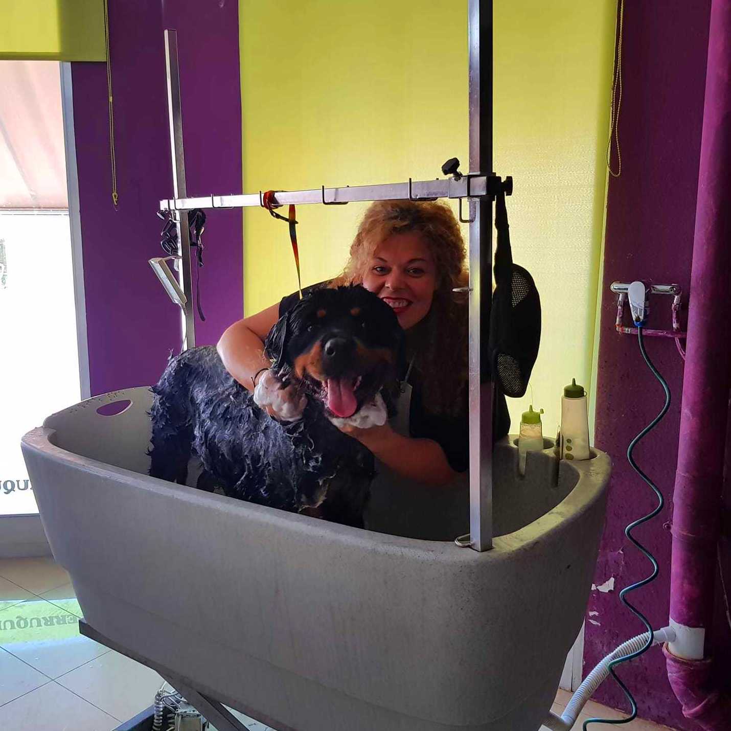 PELUQUERIA CANINA Y FELINA EN MASCOTES CASTELLBELL: Productos y servicios de JORDI / DAVINIA PELUQUERIA CANINA Y FELINA EN MASCOTES CASTELLBELL: Productos y servicios de JORDI / DAVINIA