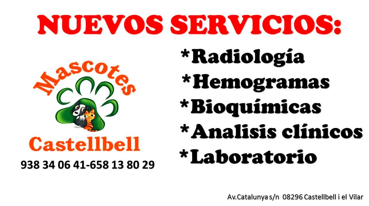 NUEVOS SERVICIOS EN MASCOTES CASTELLBELL: Productos y servicios de JORDI / DAVINIA NUEVOS SERVICIOS EN MASCOTES CASTELLBELL: Productos y servicios de JORDI / DAVINIA