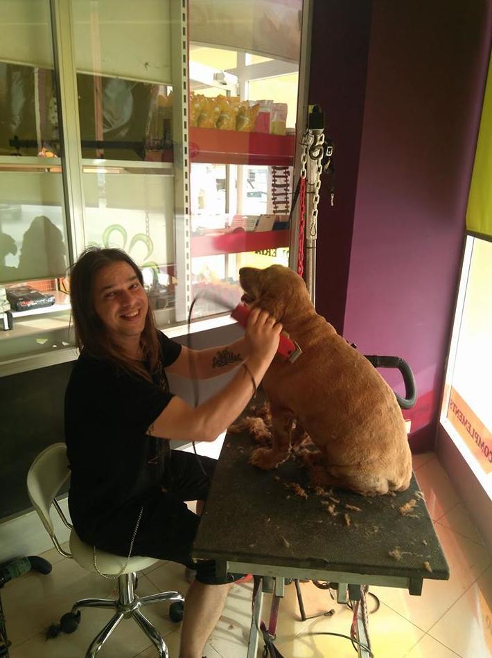 PELUQUERIA CANINA Y FELINA EN MASCOTES CASTELLBELL: Productos y servicios de JORDI / DAVINIA PELUQUERIA CANINA Y FELINA EN MASCOTES CASTELLBELL: Productos y servicios de JORDI / DAVINIA