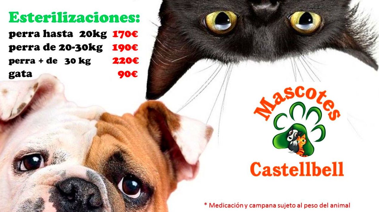 ESTERILIZACIONES HEMBRAS EN MASCOTES CASTELLEBELL ESTERILIZACIONES HEMBRAS EN MASCOTES CASTELLEBELL
