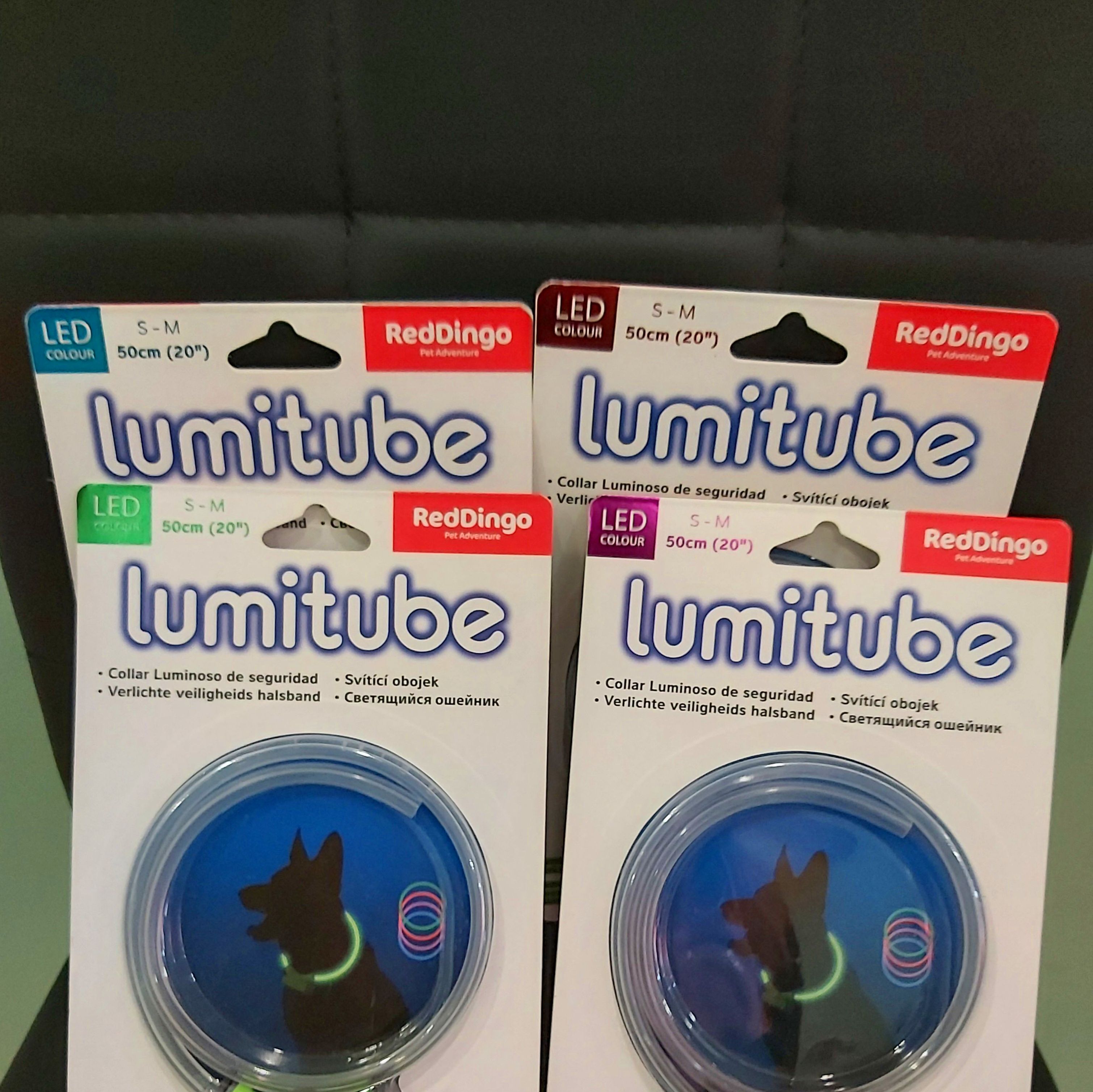 "LUMITUBE" los collares luminosos de seguridad en Mascotes Castellbell: Productos y servicios de JORDI / DAVINIA "LUMITUBE" los collares luminosos de seguridad en Mascotes Castellbell: Productos y servicios de JORDI / DAVINIA