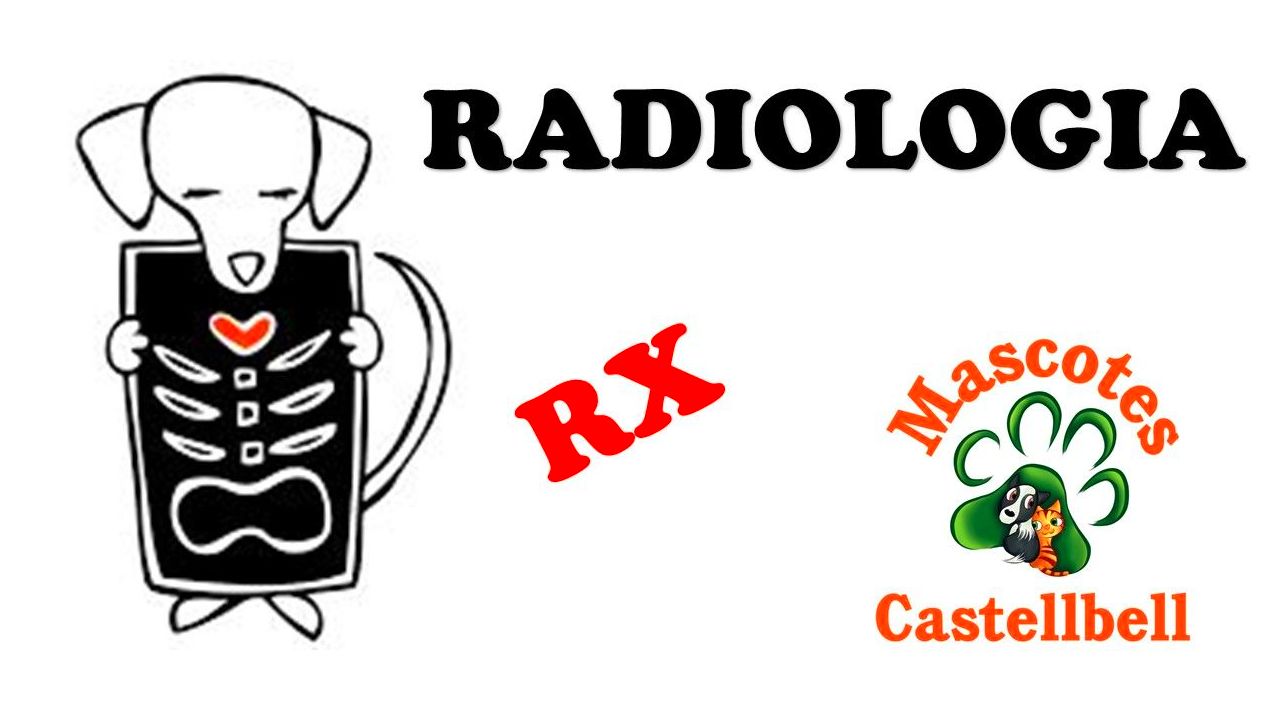 RADIOLOGIA en Mascotes Castellbell RADIOLOGIA en Mascotes Castellbell