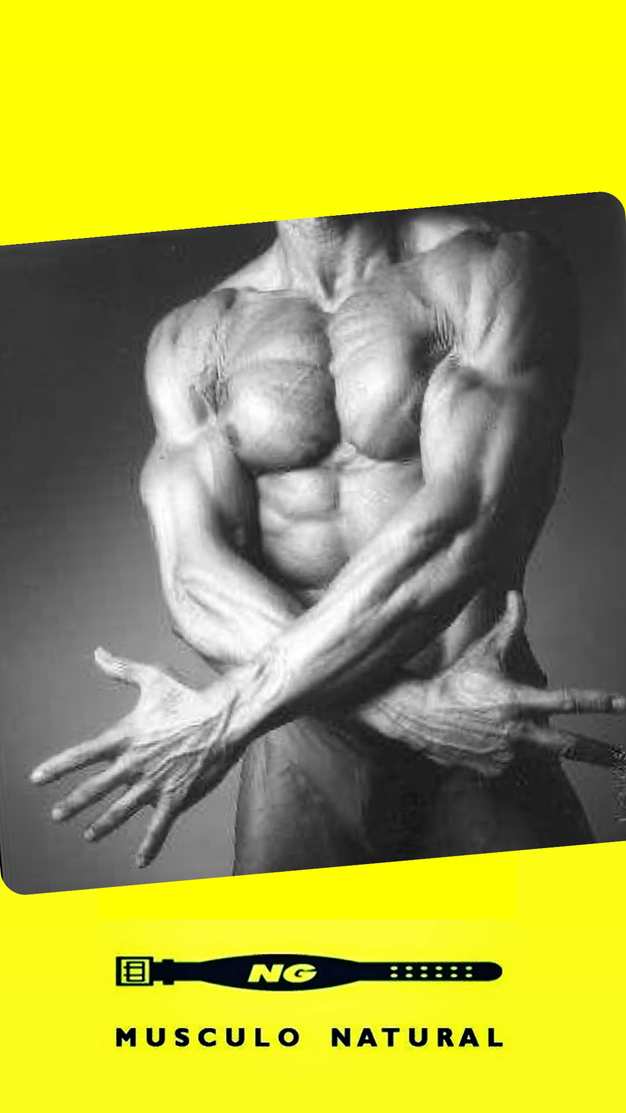 Musculación: Servicios de Gimnasio Natural Gym Musculación: Servicios de Gimnasio Natural Gym
