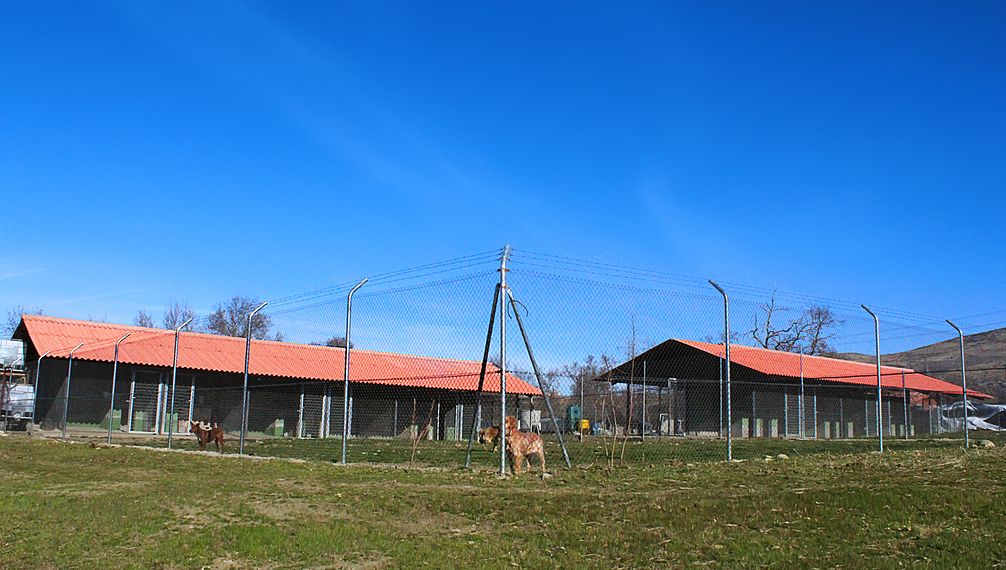 Instalaciones: Nuestra residencia de mascotas de AMPARO SCHMIDLIN CASADO Instalaciones: Nuestra residencia de mascotas de AMPARO SCHMIDLIN CASADO