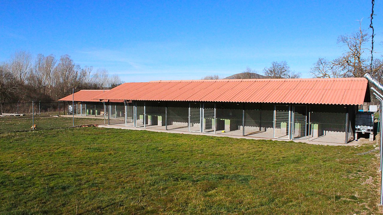 Instalaciones: Nuestra residencia de mascotas de AMPARO SCHMIDLIN CASADO Instalaciones: Nuestra residencia de mascotas de AMPARO SCHMIDLIN CASADO