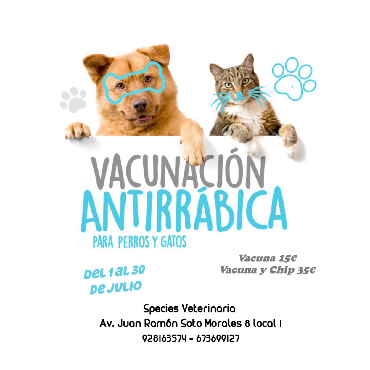 Vacunación antirrábica