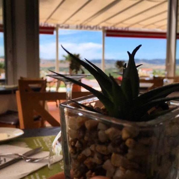 Vinos de Menorca: Carta de Restaurant Es Cactus Vinos de Menorca: Carta de Restaurant Es Cactus