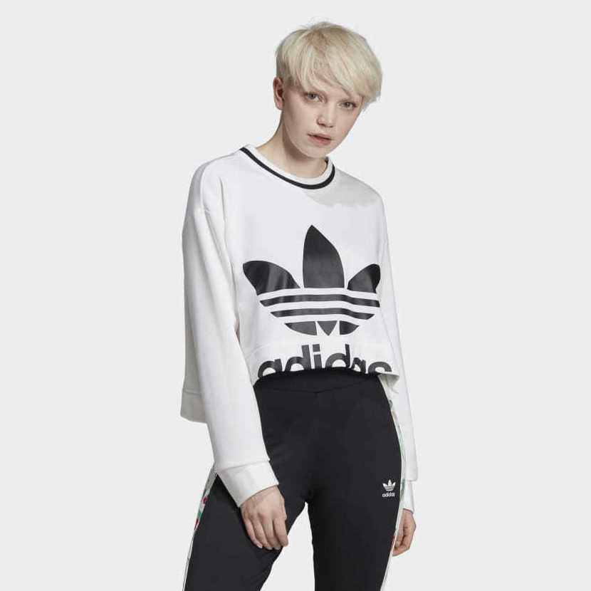 SUDADERA : CATÁLOGO de Paula Fernández SUDADERA : CATÁLOGO de Paula Fernández