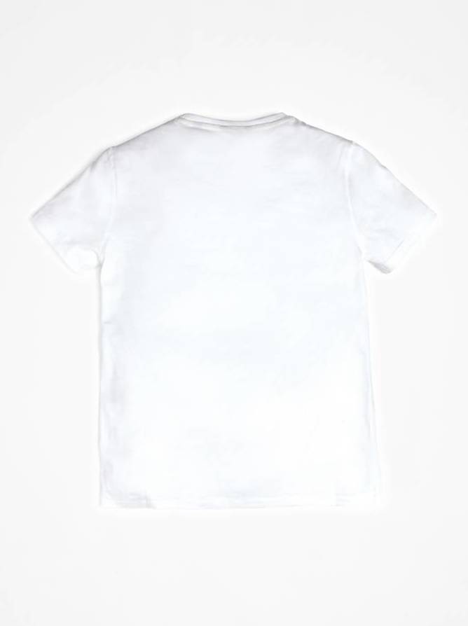 CAMISETA: CATÁLOGO de Paula Fernández CAMISETA: CATÁLOGO de Paula Fernández