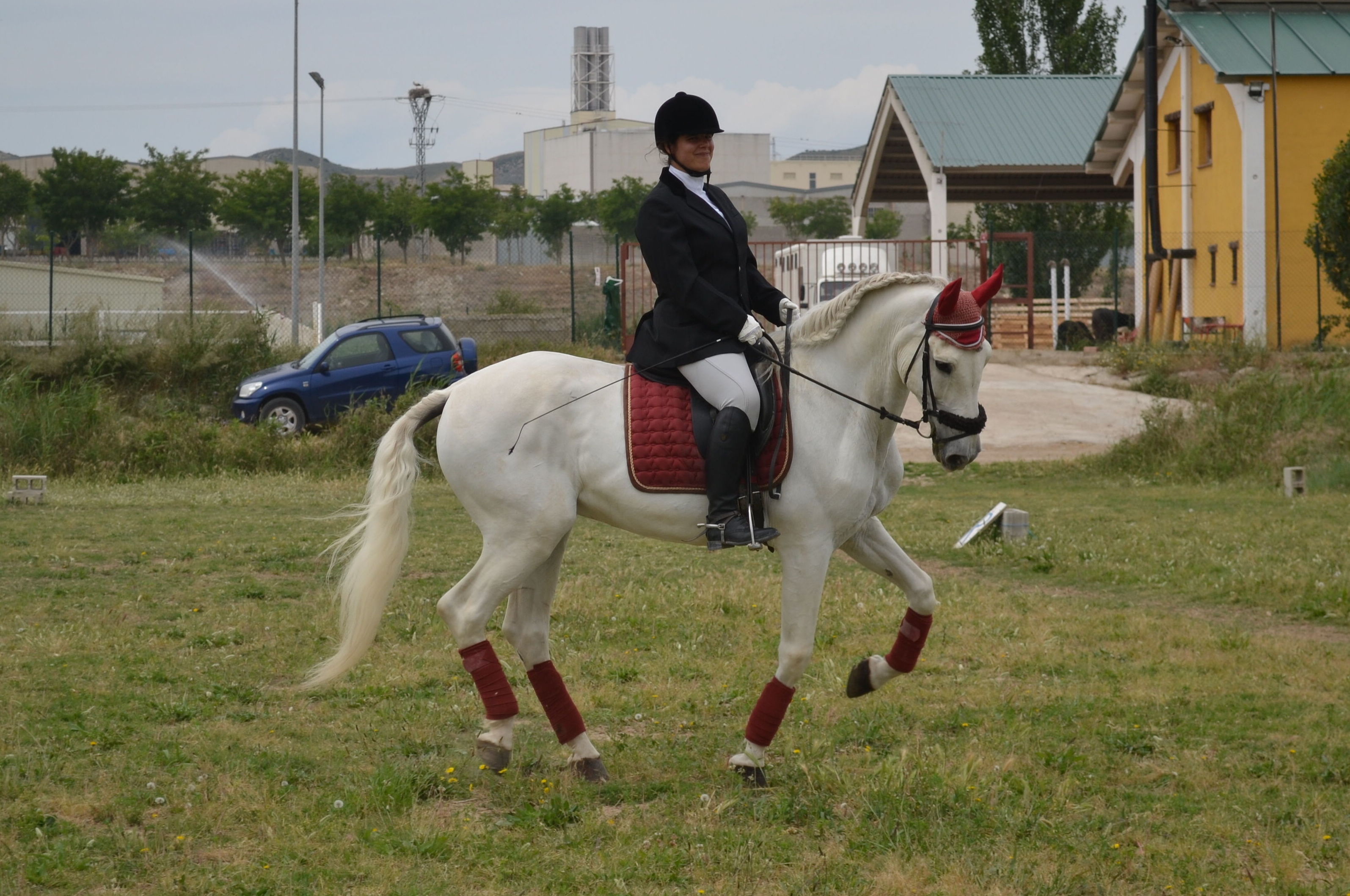 ESCUELA DE EQUITACIÓN: PERFECCIONAMIENTO Y NIVELES AVANZADOS: Servicios de Hípica Riding School ESCUELA DE EQUITACIÓN: PERFECCIONAMIENTO Y NIVELES AVANZADOS: Servicios de Hípica Riding School