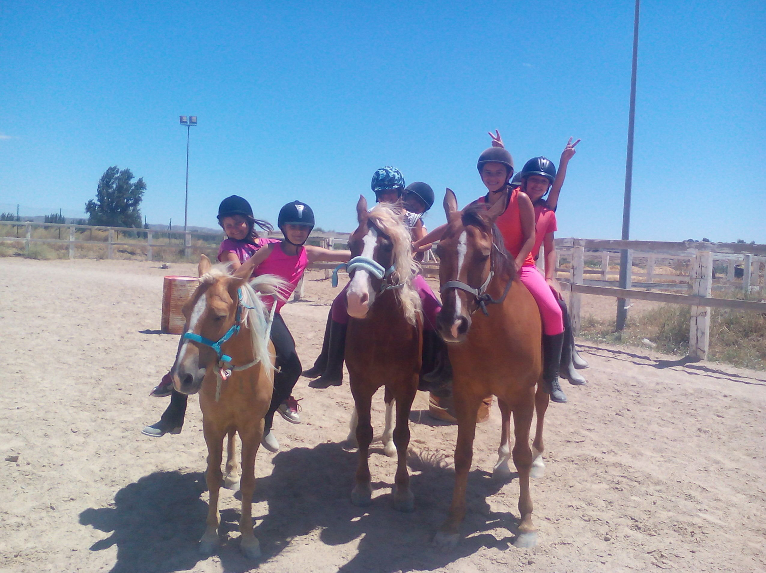 Actividades ecuestres para empresas y particulares: Servicios de Hípica Riding School Actividades ecuestres para empresas y particulares: Servicios de Hípica Riding School