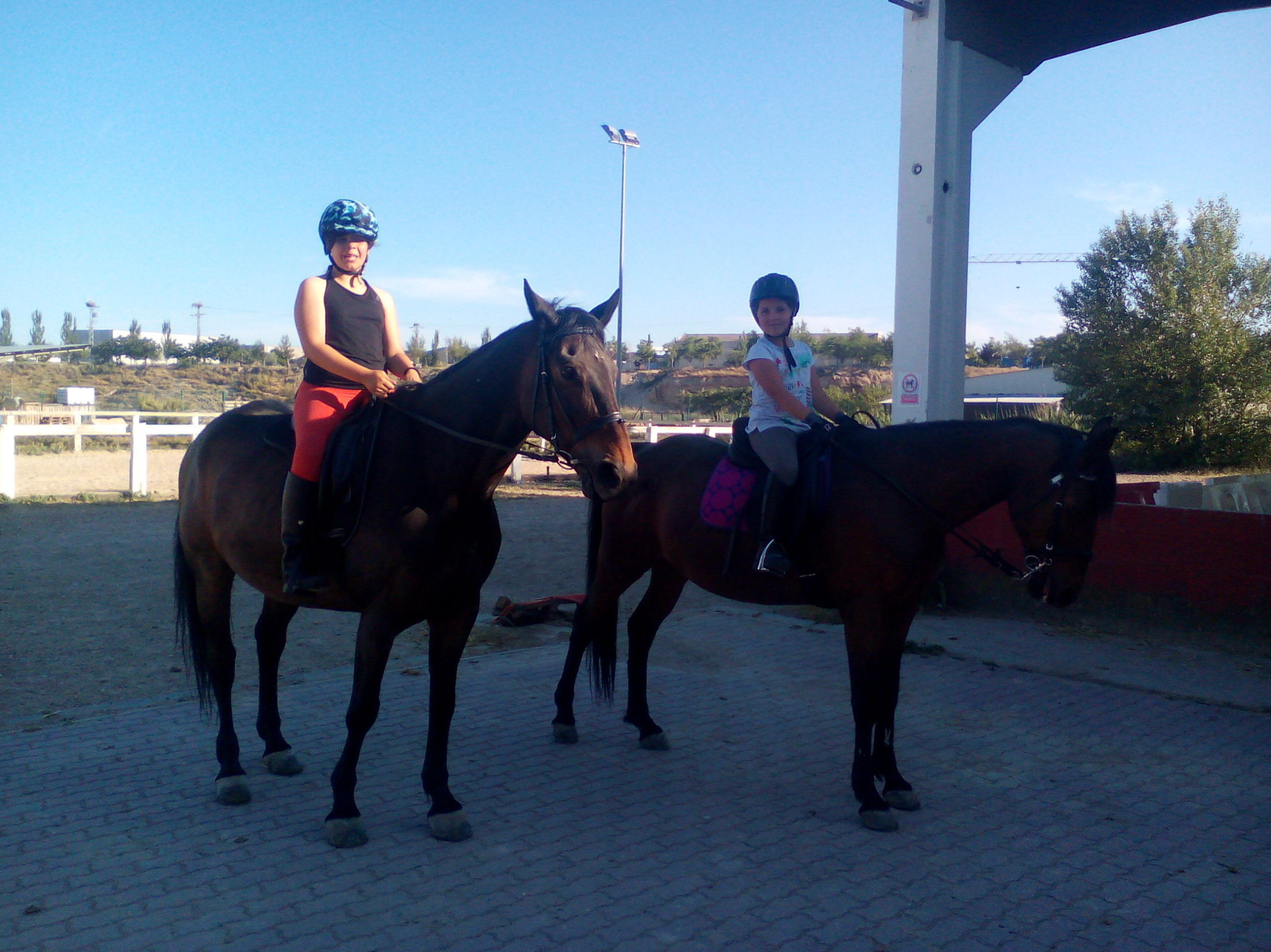 ESCUELA DE EQUITACIÓN: Servicios de Hípica Riding School ESCUELA DE EQUITACIÓN: Servicios de Hípica Riding School