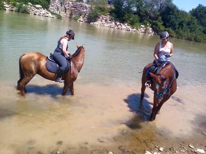 Paseos a caballo: Servicios de Hípica Riding School Paseos a caballo: Servicios de Hípica Riding School
