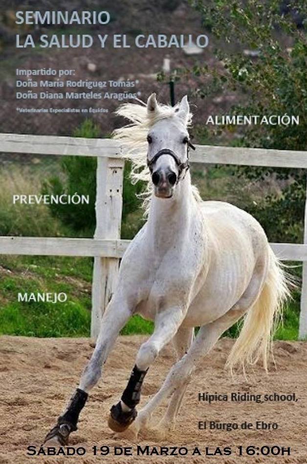 Cursos y clinics: Servicios de Hípica Riding School Cursos y clinics: Servicios de Hípica Riding School