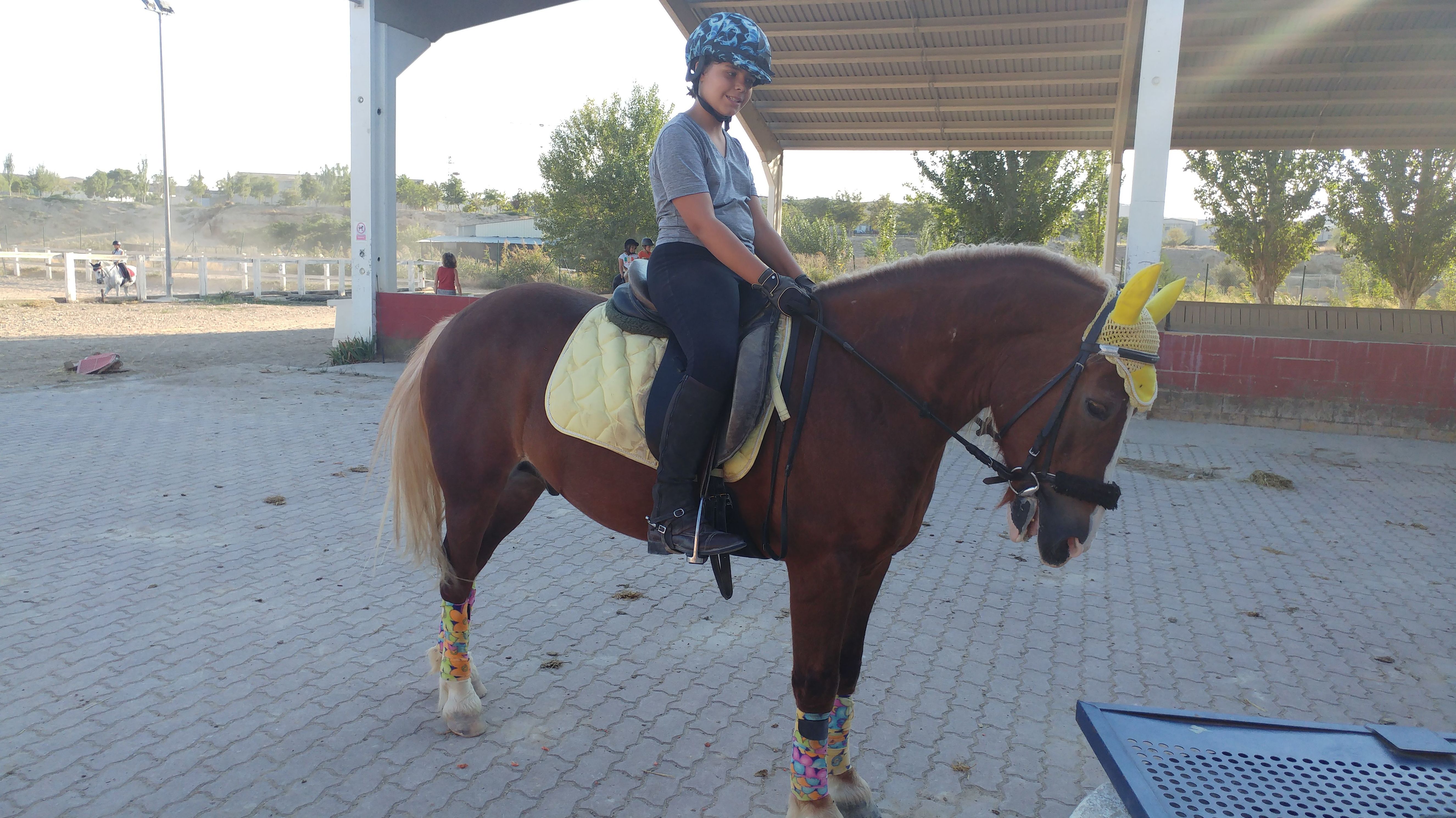 Clases de equitación: Servicios de Hípica Riding School Clases de equitación: Servicios de Hípica Riding School