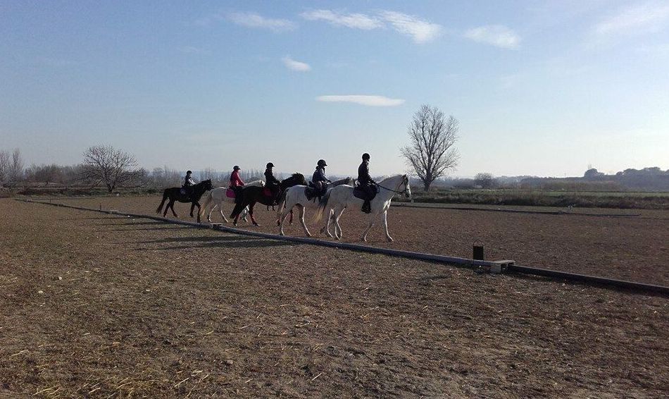 Clases de equitación: Servicios de Hípica Riding School Clases de equitación: Servicios de Hípica Riding School
