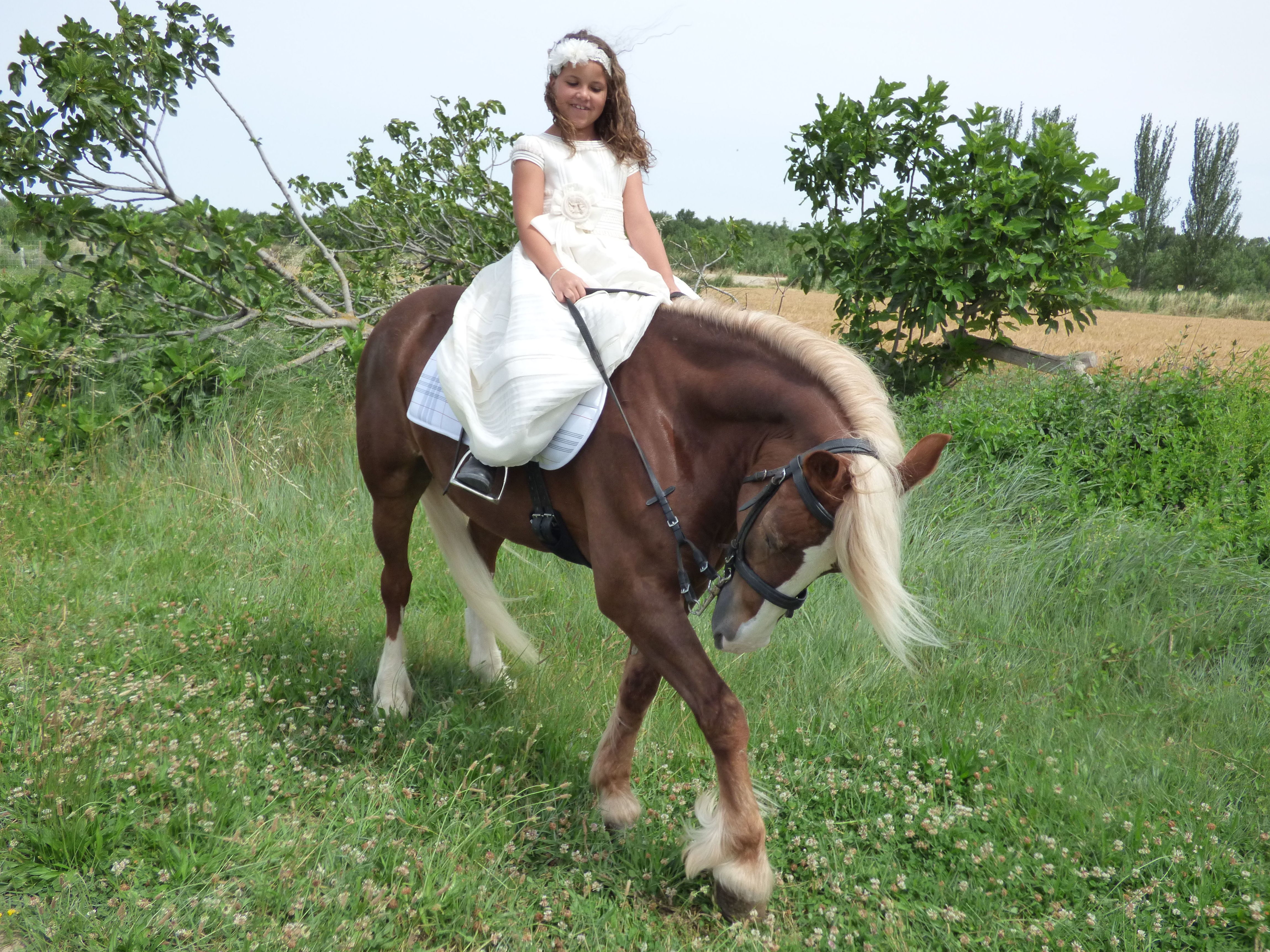 Sesiones fotográficas a caballo: Servicios de Hípica Riding School Sesiones fotográficas a caballo: Servicios de Hípica Riding School