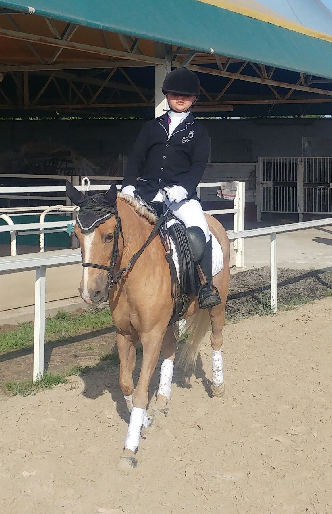 PONYCLUB: Servicios de Hípica Riding School PONYCLUB: Servicios de Hípica Riding School